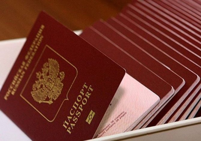 Biometric passport or old-style passport?