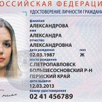электронный паспорт