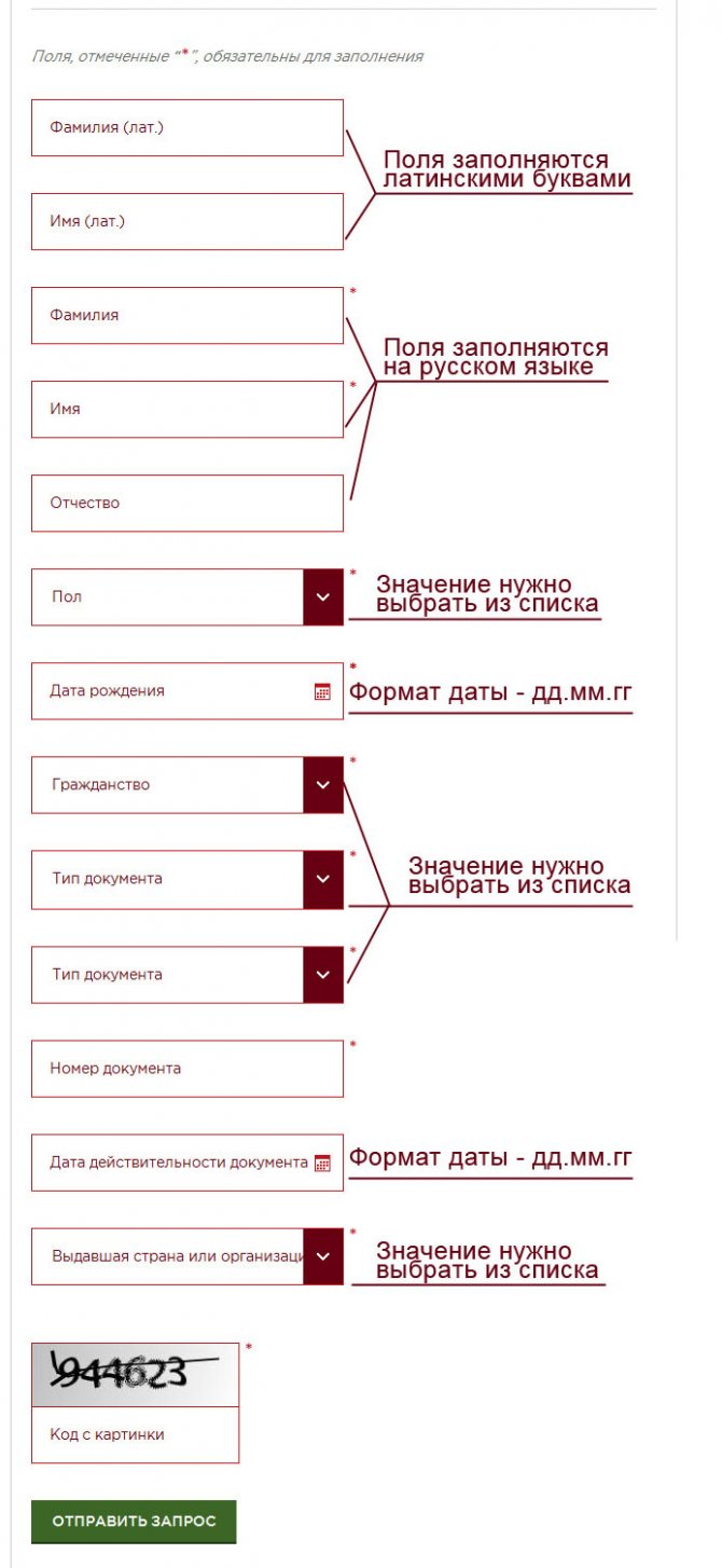 Форма запроса на проверку неразрешения на въезд в Россию