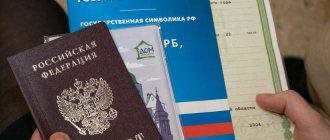 Понятие и принципы гражданства Российской Федерации