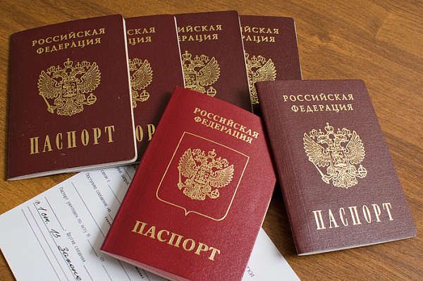Способы проверки готовности паспорта гражданина РФ
